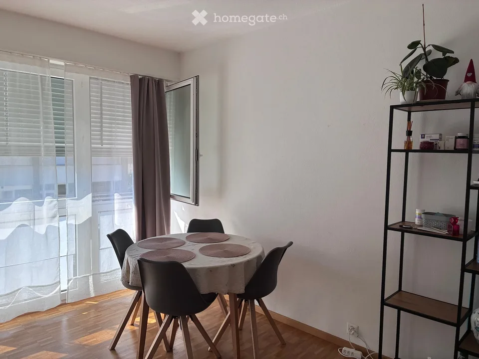 Apartment in Locarno