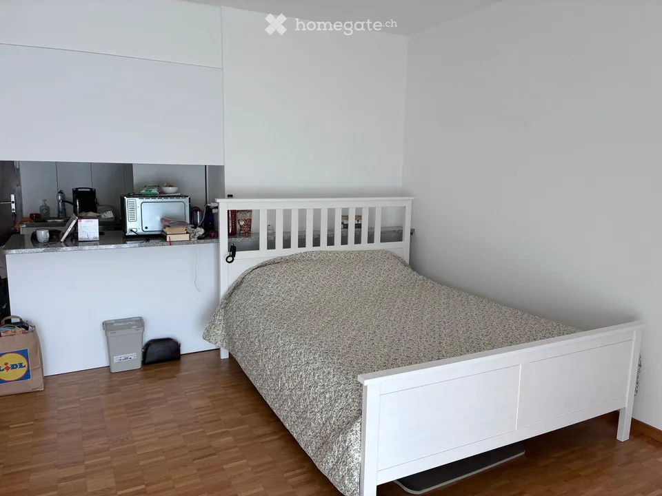 Apartment in Locarno