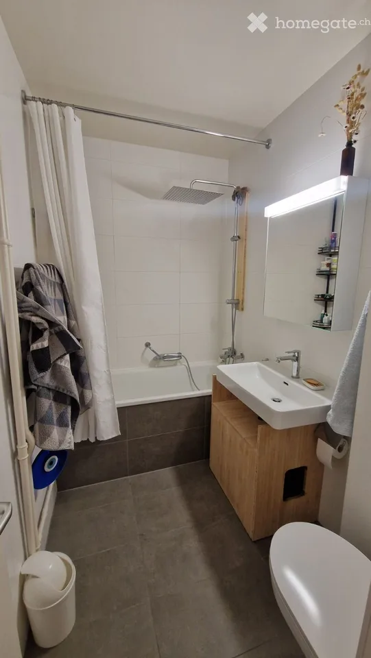 Apartment 4.5 rooms Champel