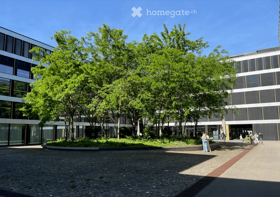 Alte Steinhauserstrasse 18 in 6330 Cham