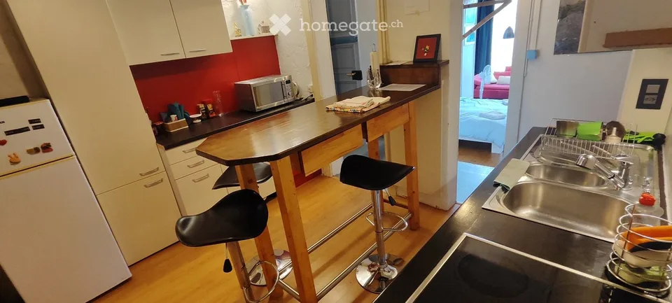 APPARTMENT VON KÜNSTLER MOBILIERT NAHE STADTZENTRUM/LAC PARC Z. BLAU