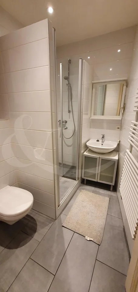 9 Rue des Eaux-Vives, 3 pezzi – foto 9 di 9