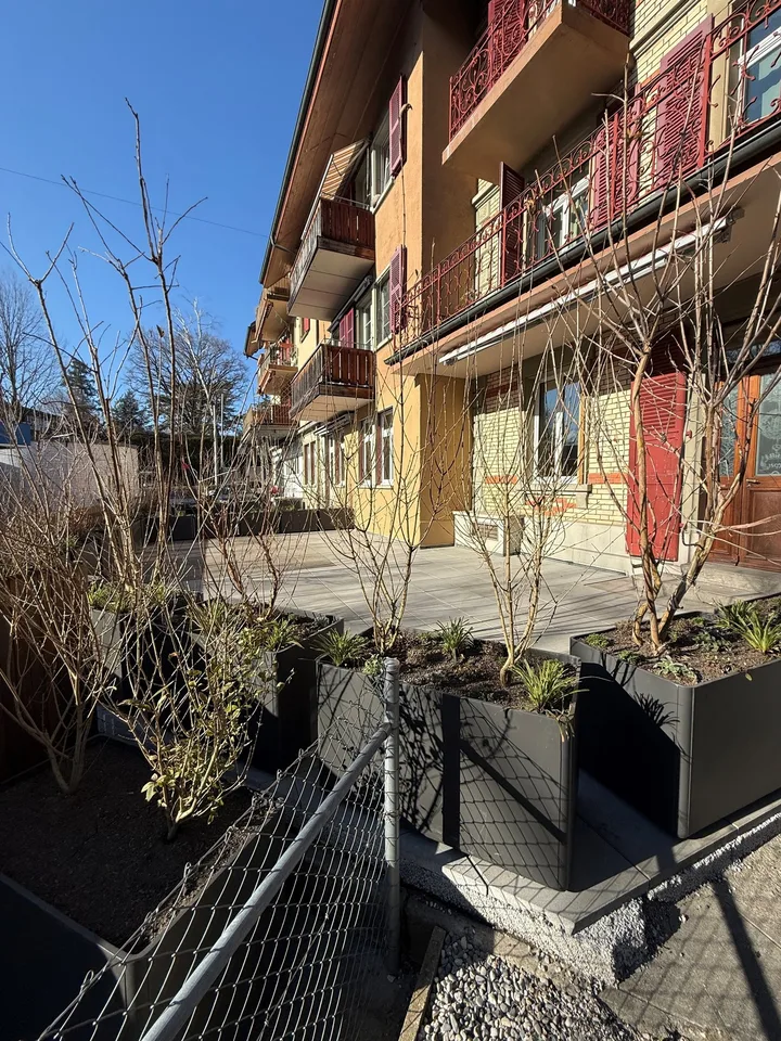 Frisch renovierte 3.5-Zimmer-Erdgeschosswohnung in Bern-Schosshalde