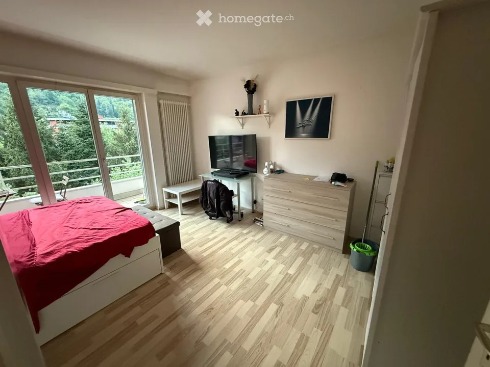 Wohnung 1,5 Zimmer Agno
