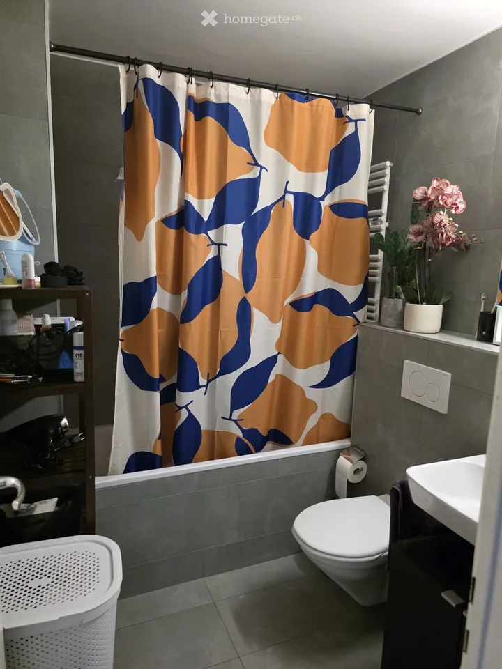 Appartement 2,5 pièces à Renens (face à l'ECAL)