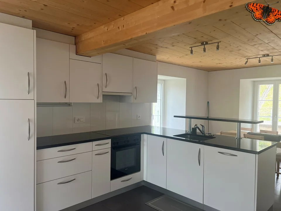 GRAND APPARTEMENT DE 2 ½ PIECES DANS MAISON VILLAGEOISE