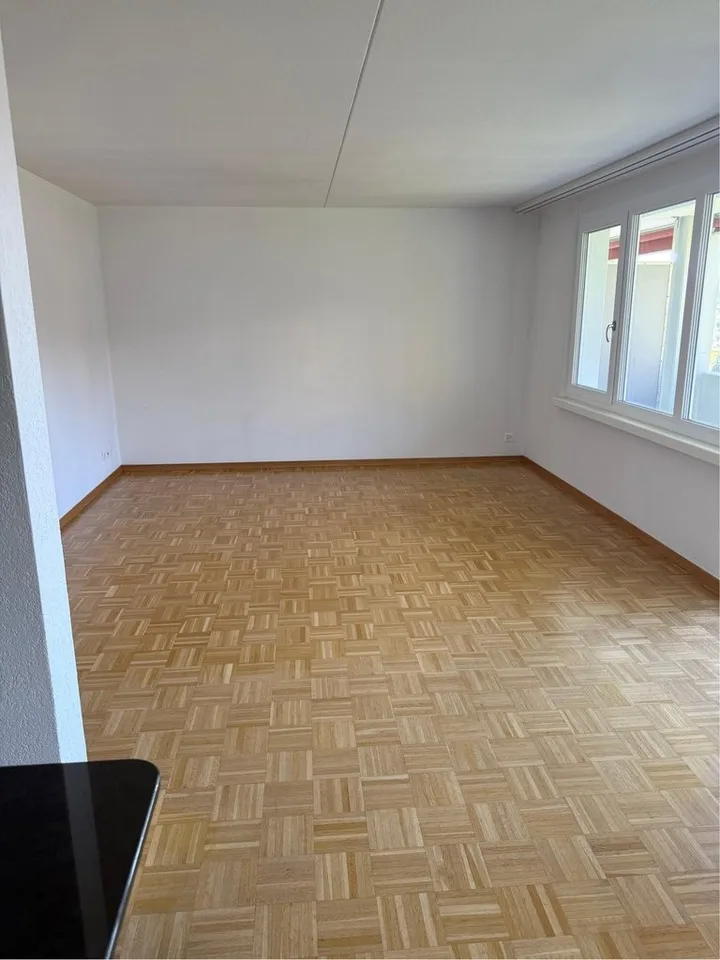 Komfortable 4.5 Zimmer Wohnung in Brugg