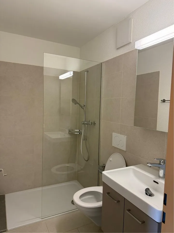 Komfortable 4.5 Zimmer Wohnung in Brugg