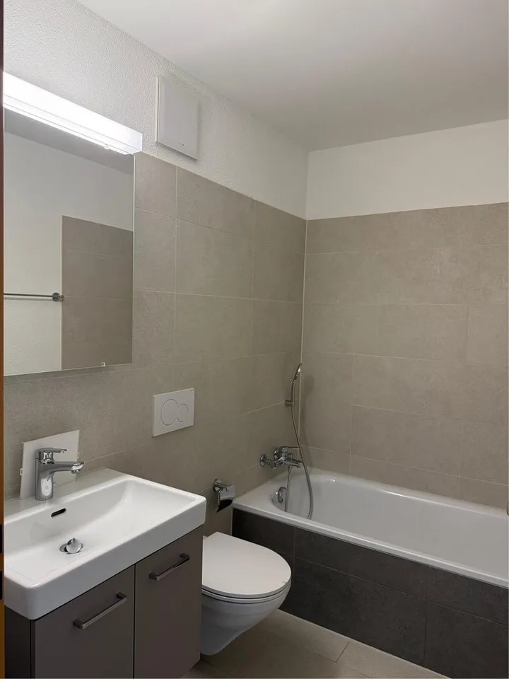 Komfortable 4.5 Zimmer Wohnung in Brugg