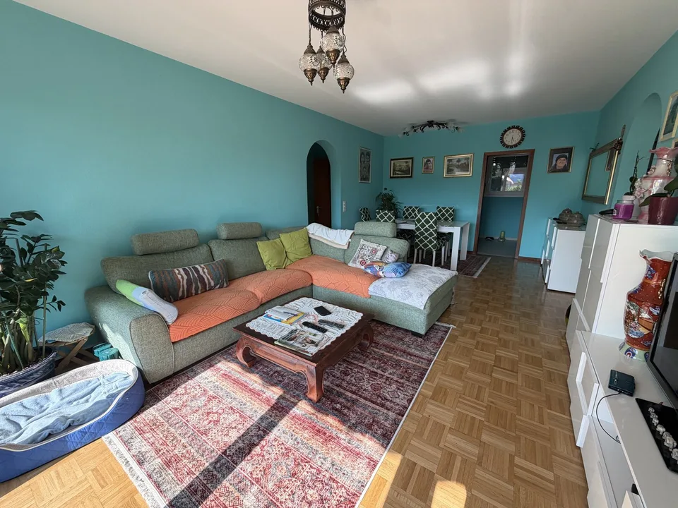 Charming 3.5 Rooms with Terrace and Garden in Pregassona