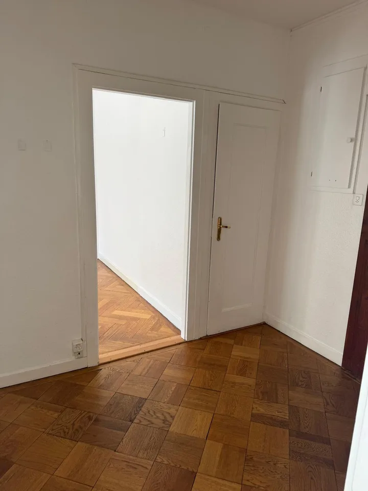 Schönes 3-Zimmer-Apartment im Servette-Viertel