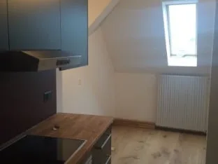 Duplex-Penthouse mit Charme · 5. und letztes Stockwerk · Aufzug · großer baumgesäumter Garten