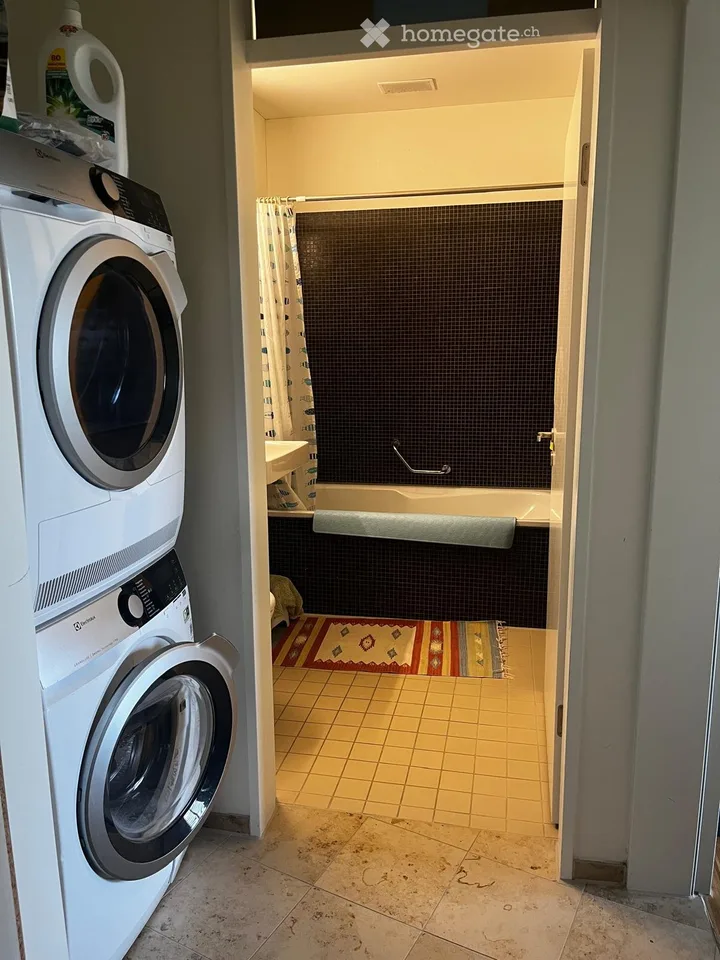 Moderne Wohnung im Guggachpark, Zurich