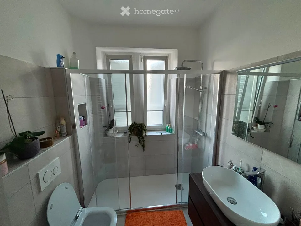 Charming 10-Room Villa for Rent in Castel San Pietro, Ticino