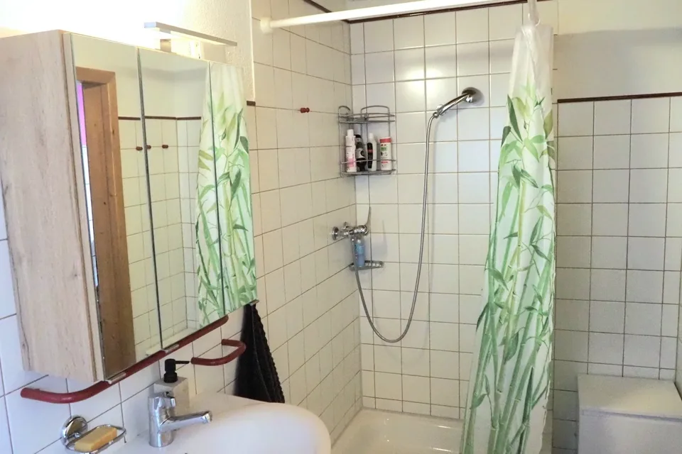 2½ ZI-WOHNUNG IN LÜTISBURG (SG), MÖBLIERT, TEMPORÄR – foto 9 di 10