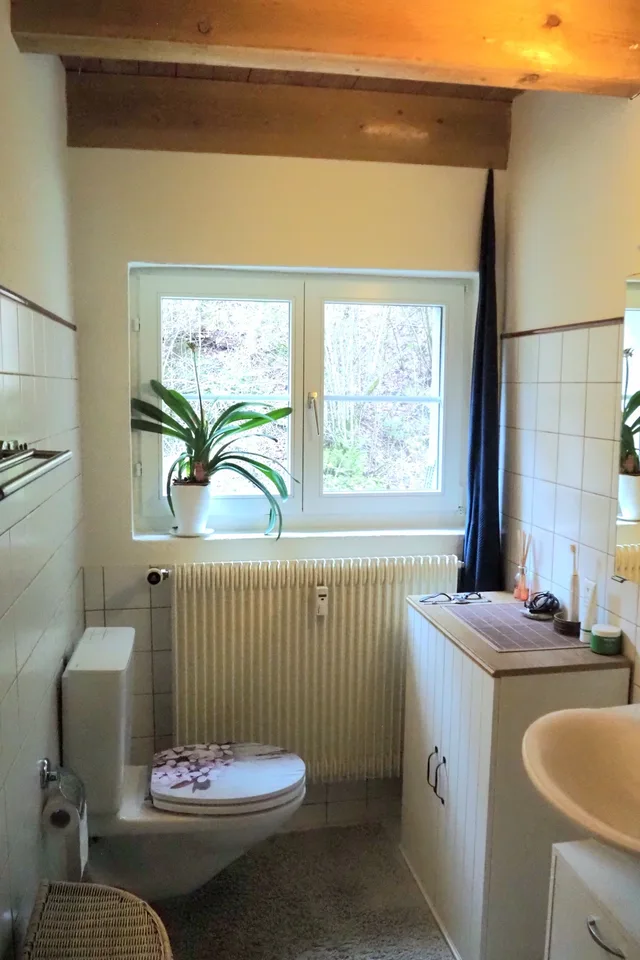 2½ ZI-WOHNUNG IN LÜTISBURG (SG), MÖBLIERT, TEMPORÄR – foto 8 di 10
