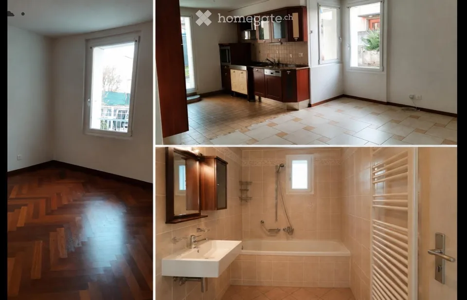 Two-apartment house for sale in Crissier