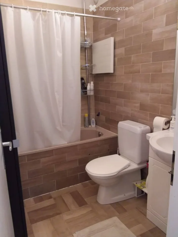 For rent beautiful 2-room apartment in Grand-Lancy