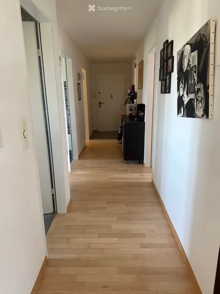 Beautiful 4.5-room apartment for rent in Düdingen