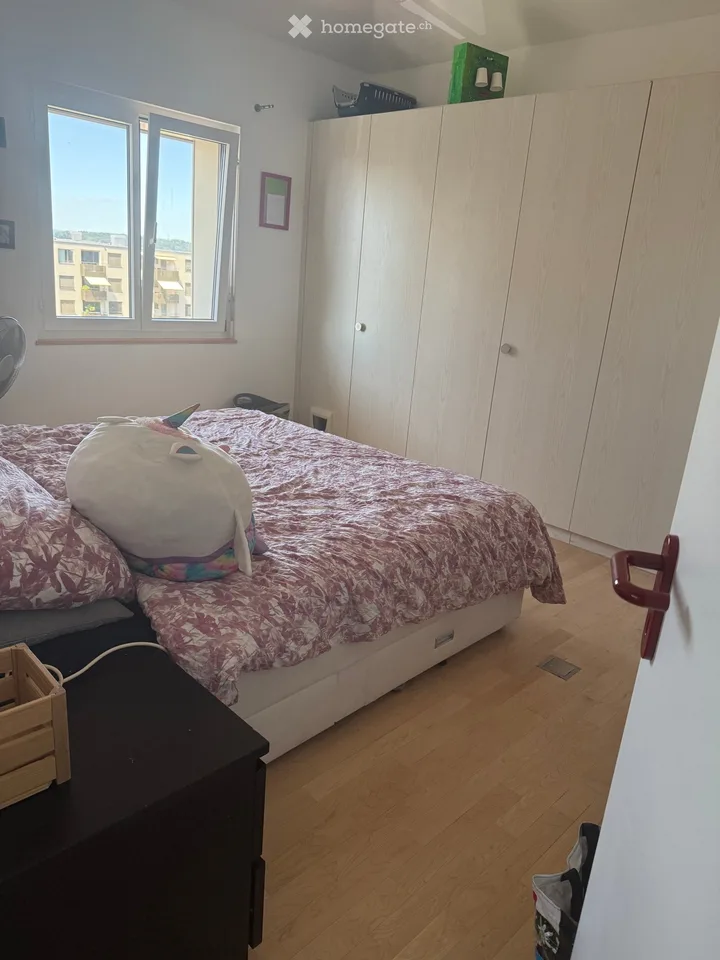 Beautiful 4.5-room apartment for rent in Düdingen