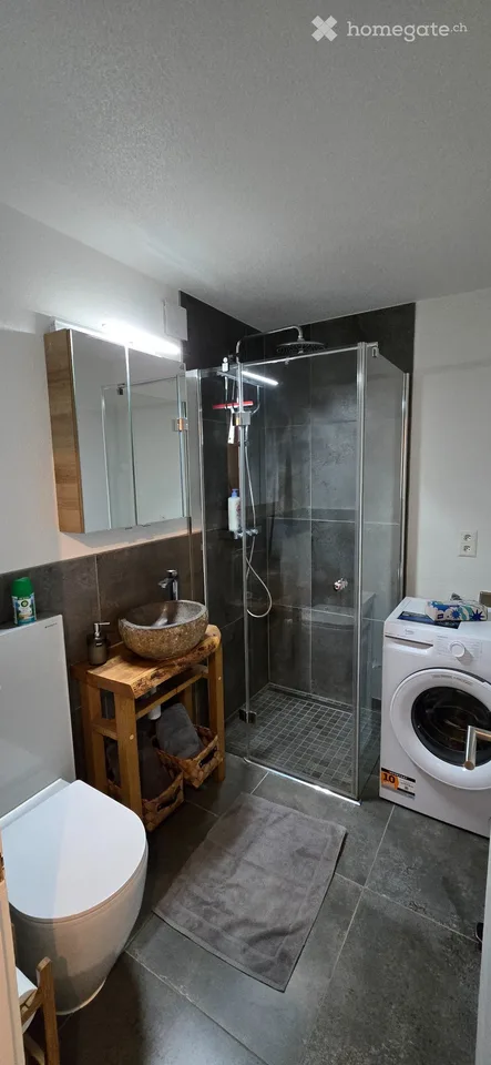 Möblierte 3.5-Zimmer-Wohnung in Erlach