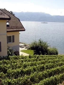 Villa au bord du lac à Villette – Cadre exceptionnel au cœur du Lavaux
