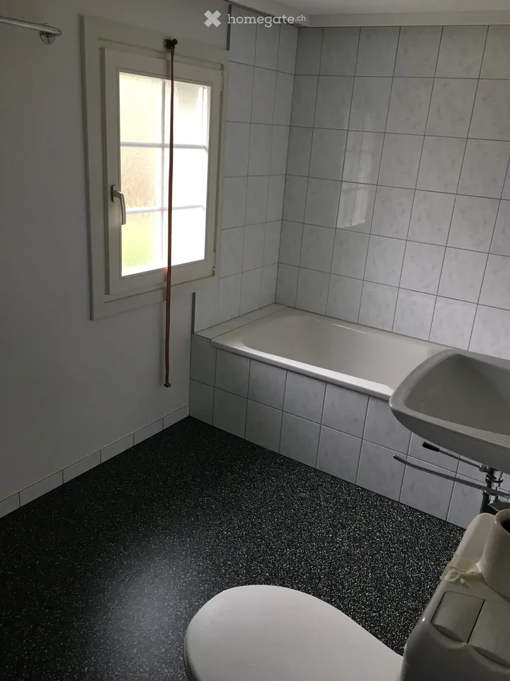 3,5 Zi-Wohnung in Gais AR