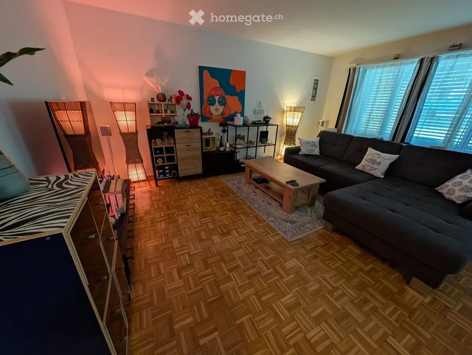 Appartamento arredato 2,5 locali - subaffitto Kreuzlingen ott-apr