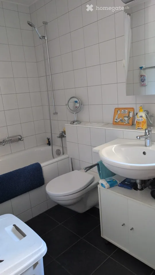 Appartamento arredato 2,5 locali - subaffitto Kreuzlingen ott-apr