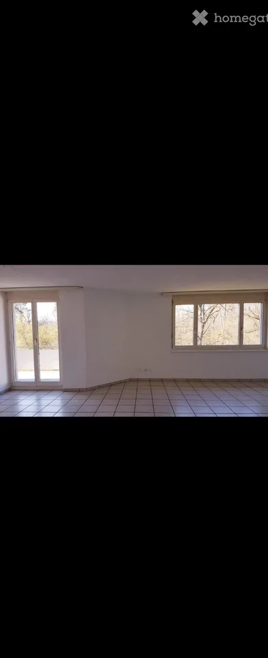 Appartement 4 pièces et demi à louer à Koblenz