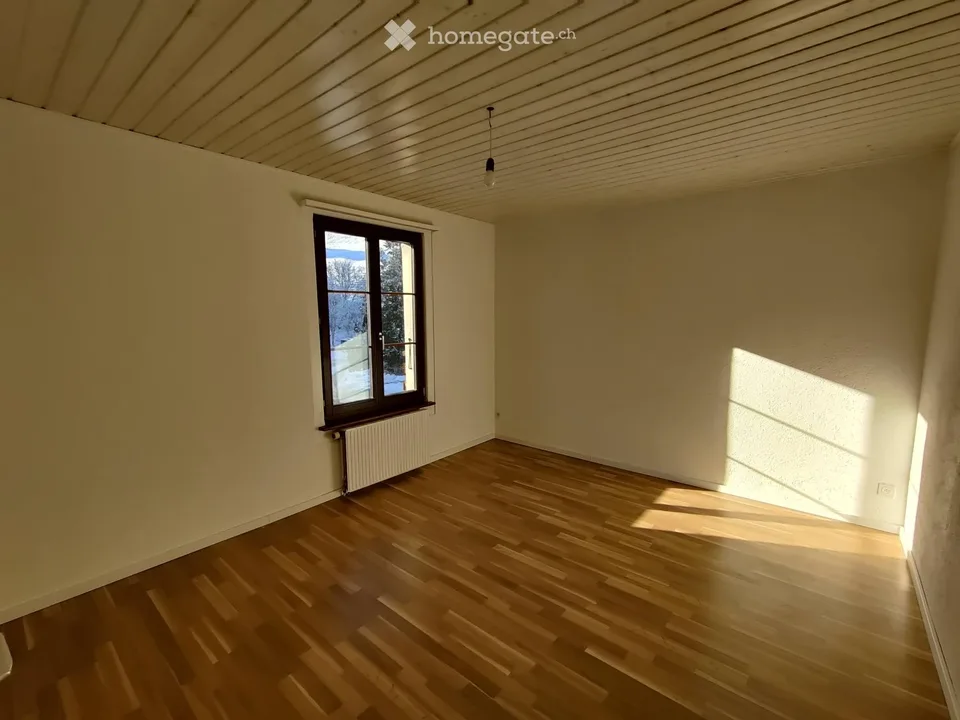 Schönes 2,5-Zimmer-Apartment