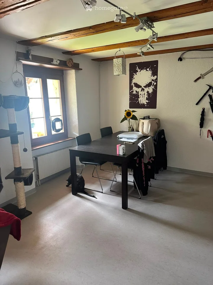 Charmante 4-Zimmer-Maisonette-Wohnung in Erlinsbach