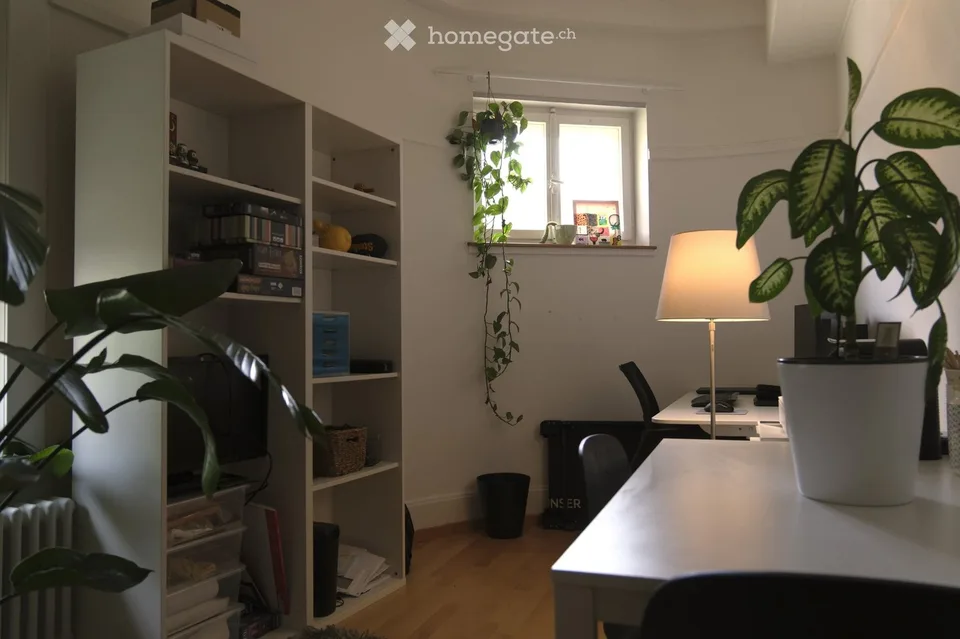 Möblierte 4-Zimmer-Altbauwohnung in St Gallen- befristet von November 2026 bis Juni 2027