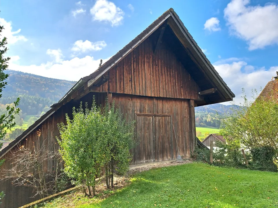 ECCEZIONALE - Maestosa casa di villaggio con 2 appartamenti venduta a un prezzo che sfida ogni concorrenza – foto 11 di 30