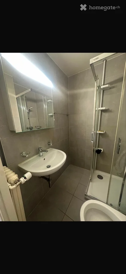 Prächtiges 2-Zimmer-Dachgeschossapartment mit Jet-d'Eau-Blick