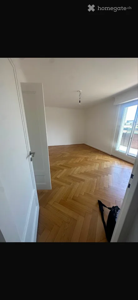 Prächtiges 2-Zimmer-Dachgeschossapartment mit Jet-d'Eau-Blick