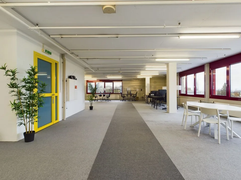 Espace de bureau spacieux et moderne à Zollikofen