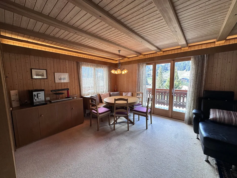 Dream furnished apartment in the heart of Morgins