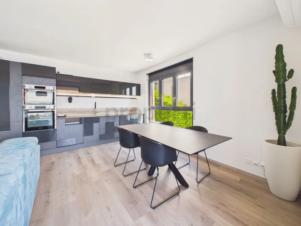 Elegantes 3.5-Zimmer-Wohnung mit Seeblick und internem Parkplatz, Aldesago