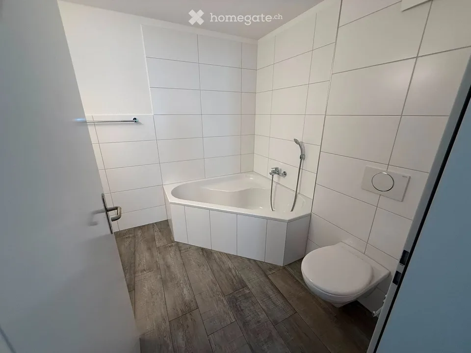 Charming 4.5-room apartment in Emmetten with a view
