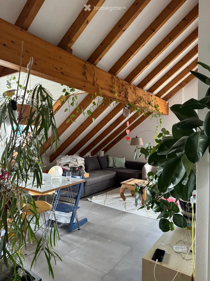 3.5 rooms renovated Boussens