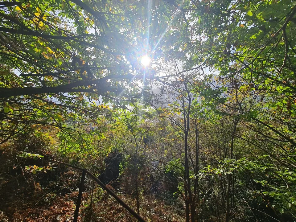 Avec vue spectaculaire