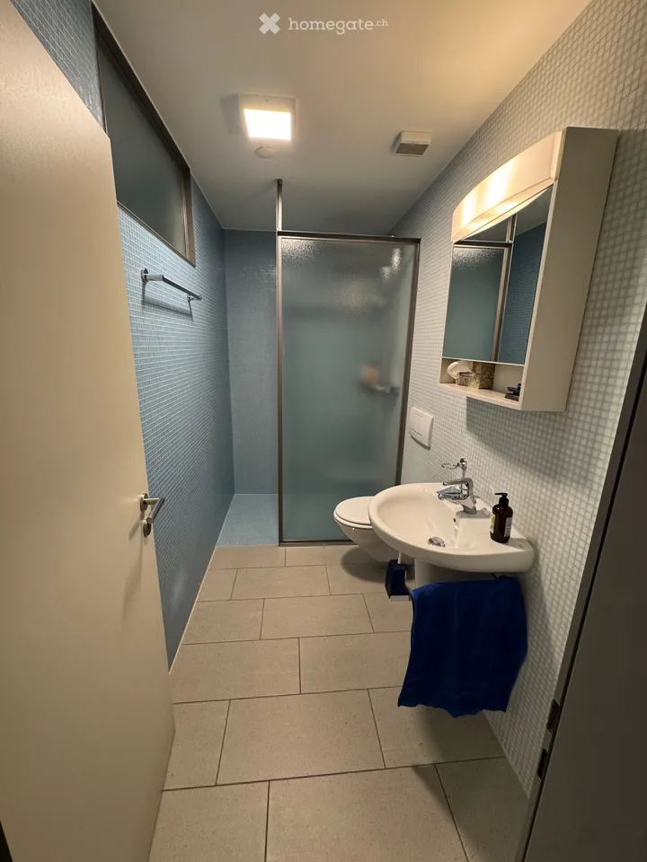 Grosszügiges 6.5-Zimmer-Doppelhaus zur Miete in Wetzikon ZH
