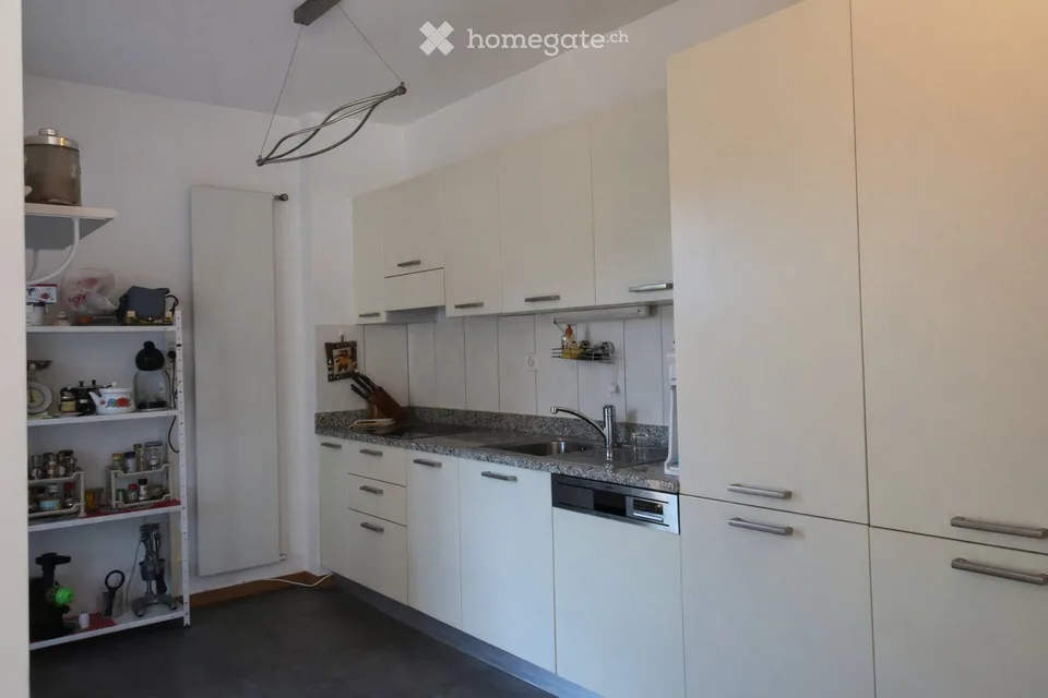 Sous-location appartement 3.5 pièces Paradiso
