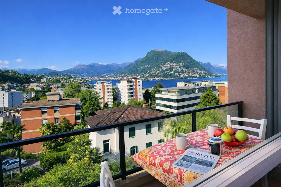 Sous-location appartement 3.5 pièces Paradiso