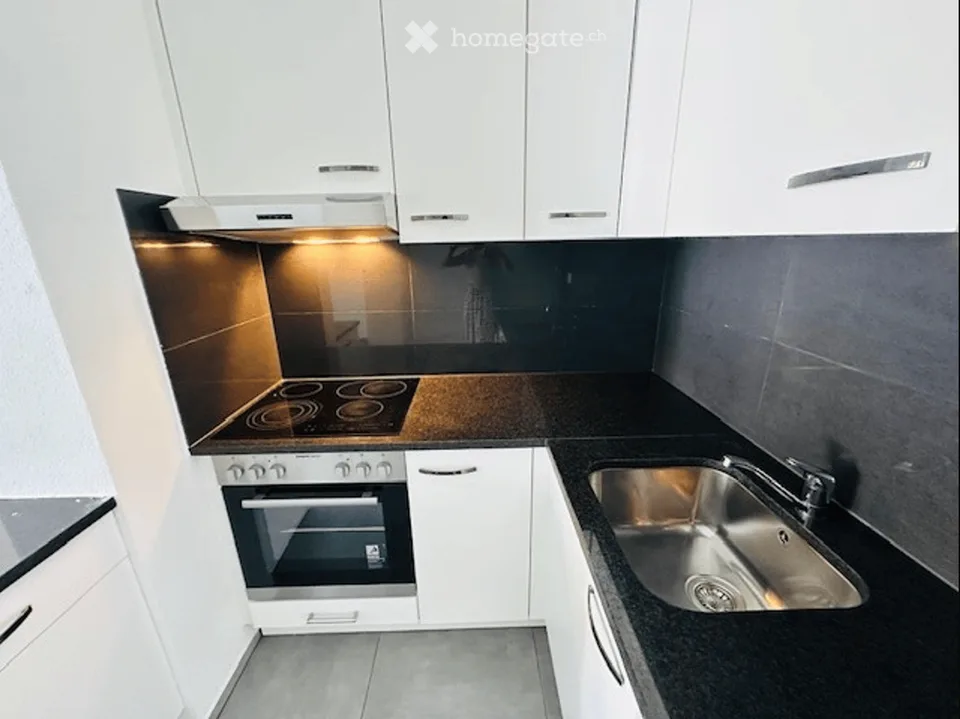 Appartement 3 pièces lumineux avec deux balcons à Bâle – Recherche locataire