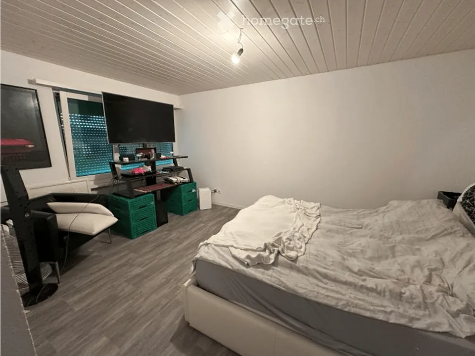 Appartamento 2,5 locali con grande terrazza