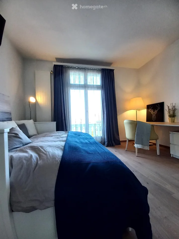 Chambre lumineuse avec vue sur le lac à Ermatingen. Tout compris.