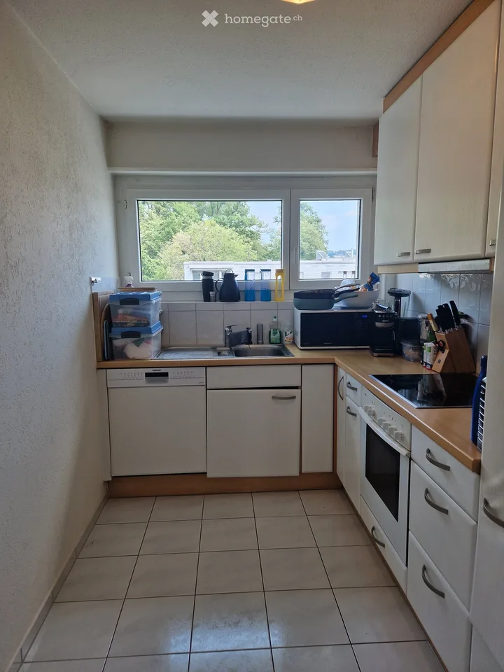 Gemütliche 2-Zimmer-Wohnung mit Balkon in Effretikon