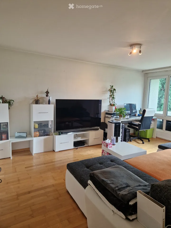Gemütliche 2-Zimmer-Wohnung mit Balkon in Effretikon